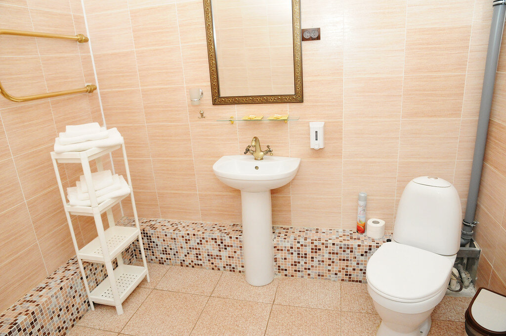 Гостиница Гончаровъ Ульяновск-110